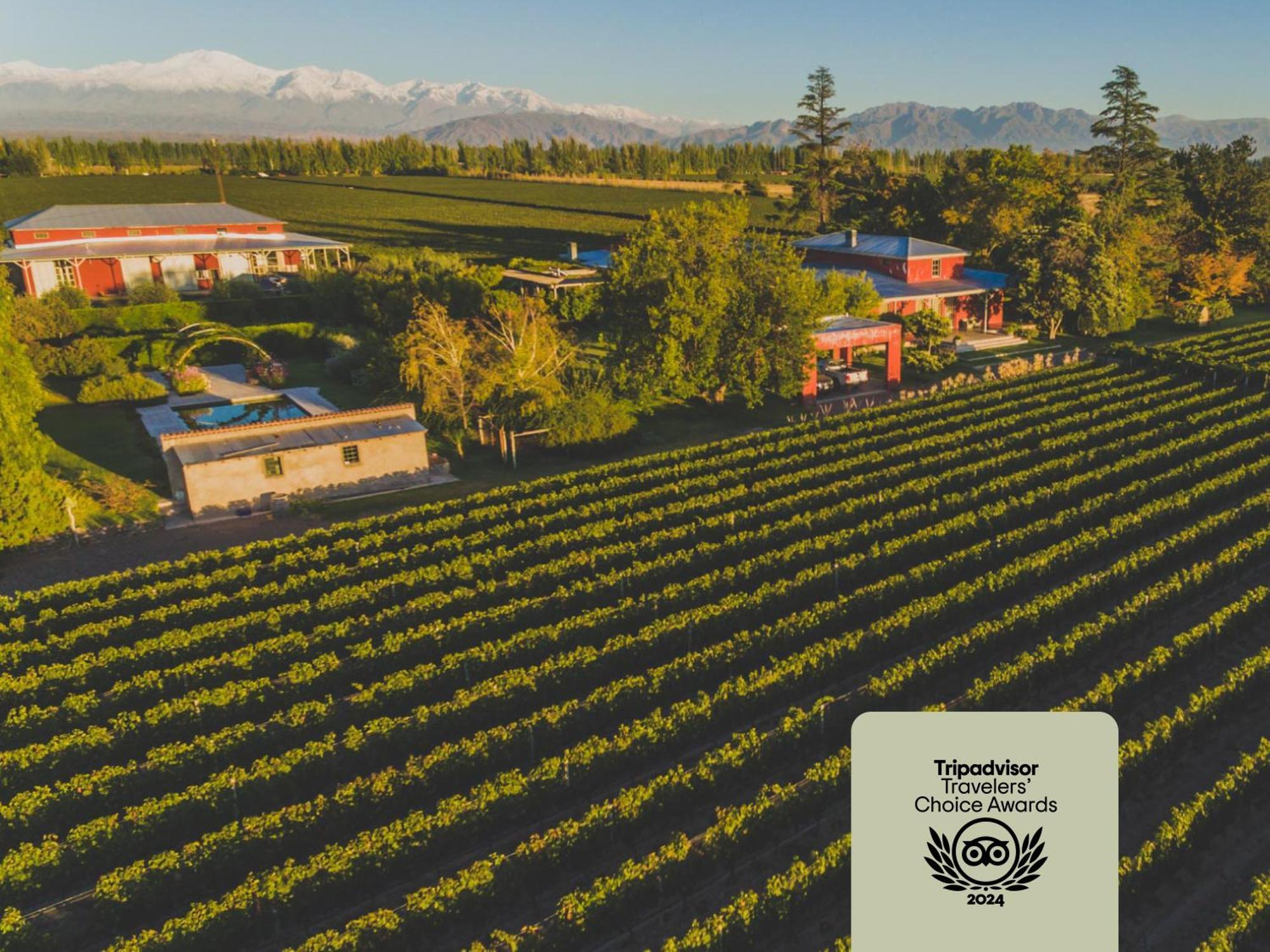 Enlace Wine House Lujan de Cuyo Exteriör bild