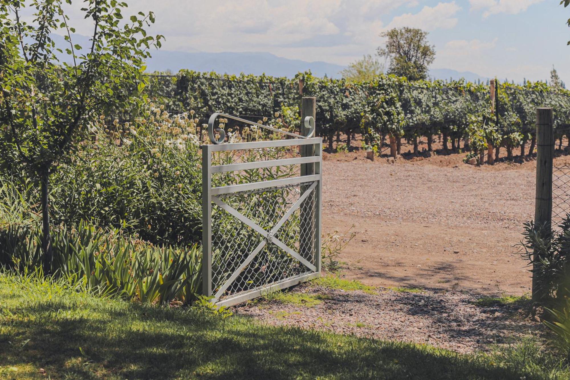 Enlace Wine House Lujan de Cuyo Exteriör bild