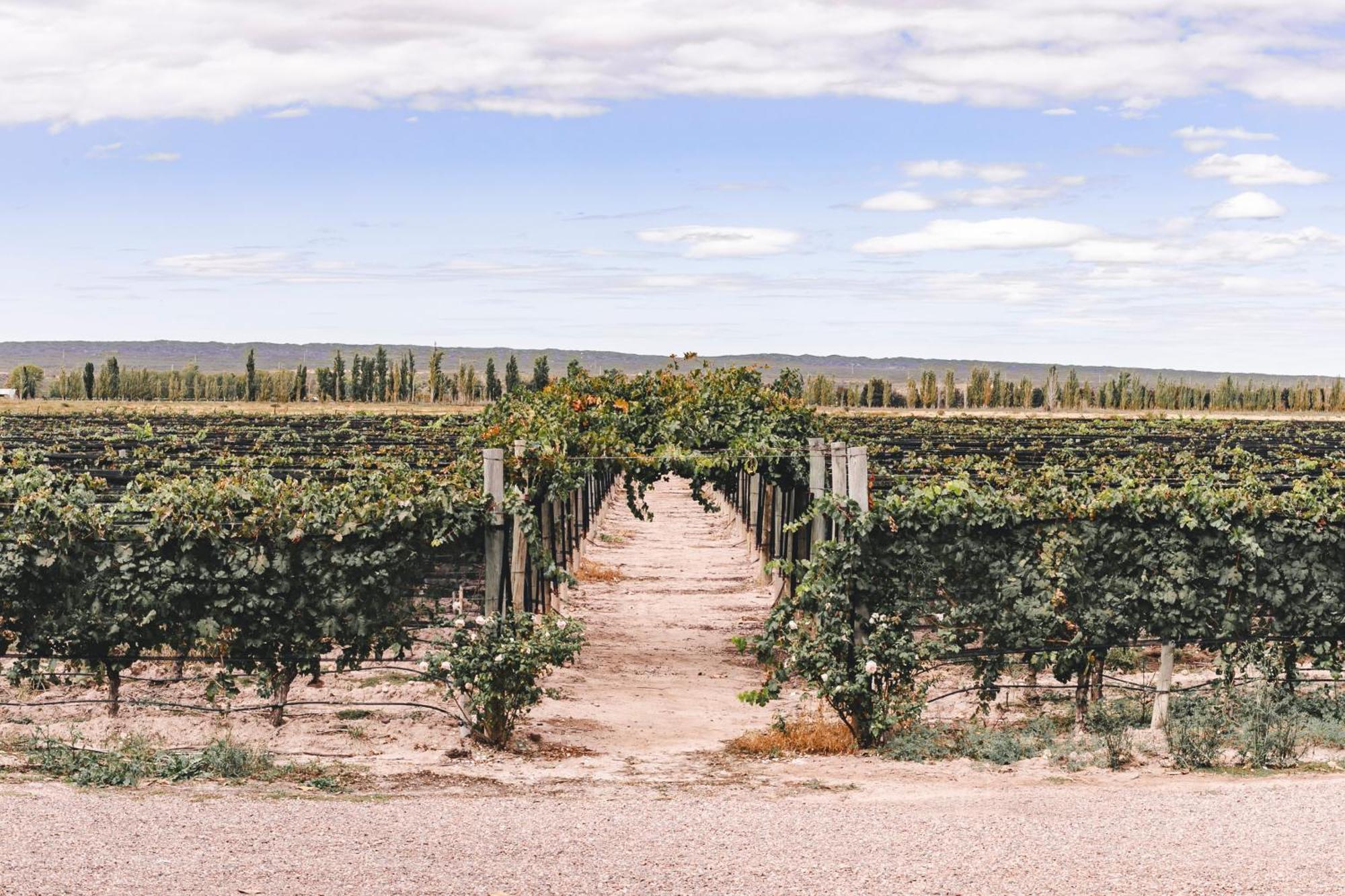 Enlace Wine House Lujan de Cuyo Exteriör bild